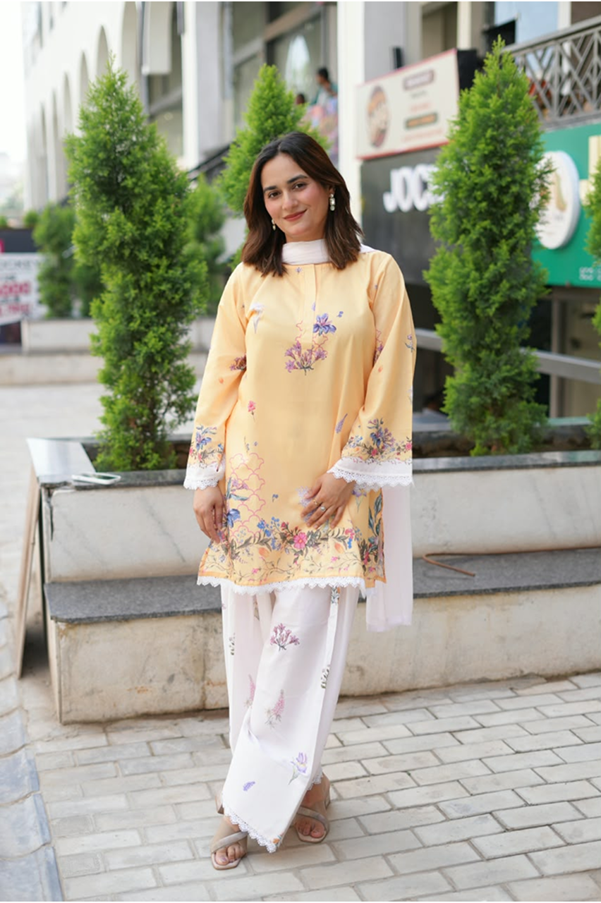 Pastel yellow and white farshi set